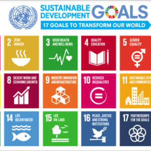 UN Sustainable Development Goals - icons for each goal as on their website https://sdgs.un.org/goals