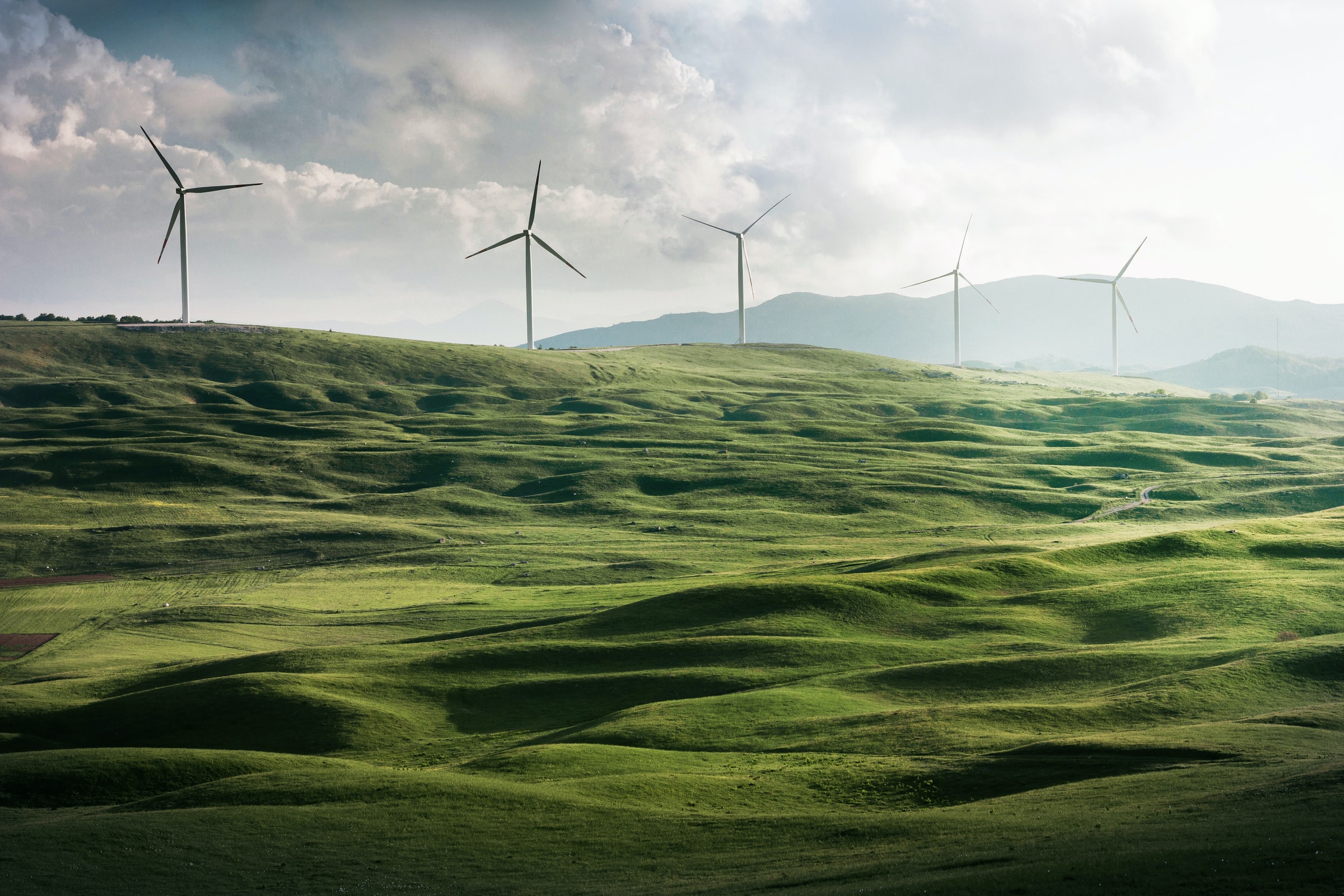green field with five wind turbines